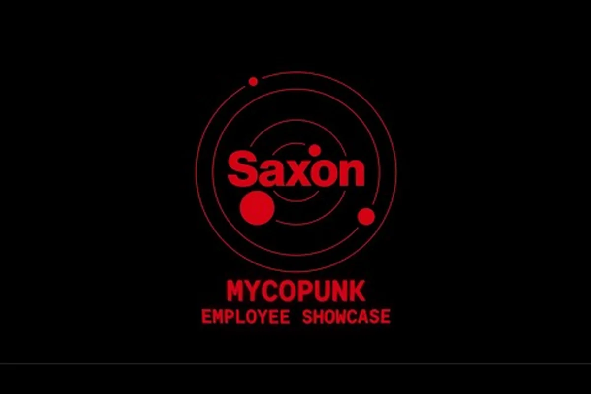 Mycopunkキャラクター一覧:全プレイアブル従業員と最強クラス